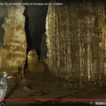Son Doong, the largest cave in the world: a hidden world with jungle, rivers and unique species