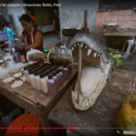 Belén Market in Iquitos: A surreal journey through Peru's "Amazonian Venice"