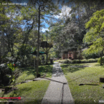 Envigado: what to see, where to eat, and the best plans near Medellín